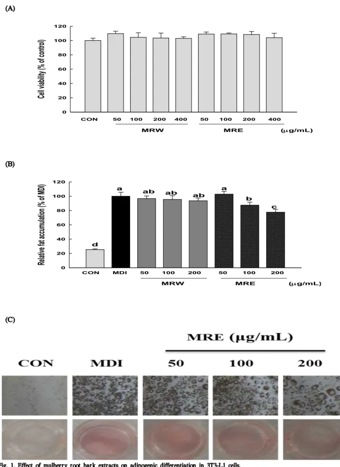 Fig. 1. Effect of mulberry root bark extracts on adipogenic differentiation in 3T3-L1 cells.