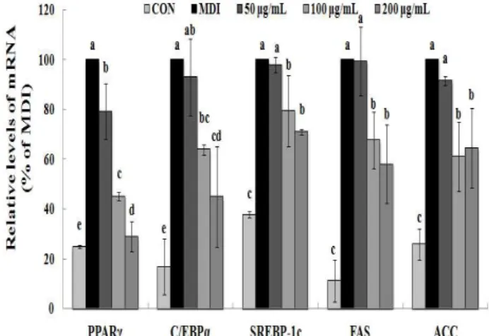 Fig. 2. Inhibitory effects of MRE on adipogenesis and lipogenesis mRNA expression in 3T3-L1 cells.