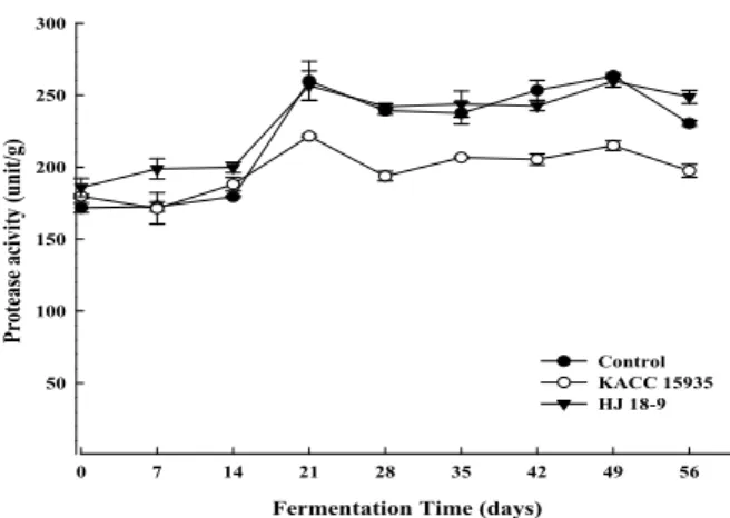 Fig. 1. Change of protease activity during popped rice Doenjang fermentation.