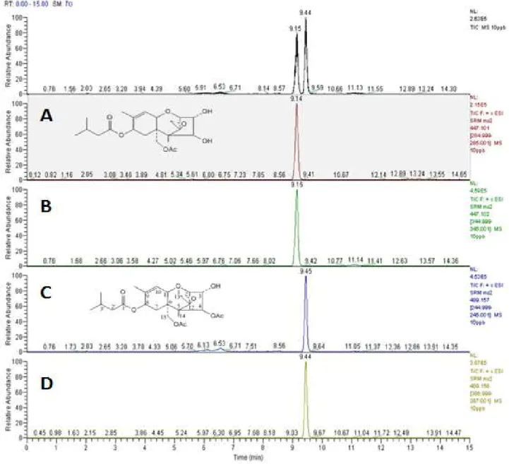 Fig. 2. LC-MS/MS chromatogram of T-2 and HT-2 toxins standard solution at 10 ug/kg.
