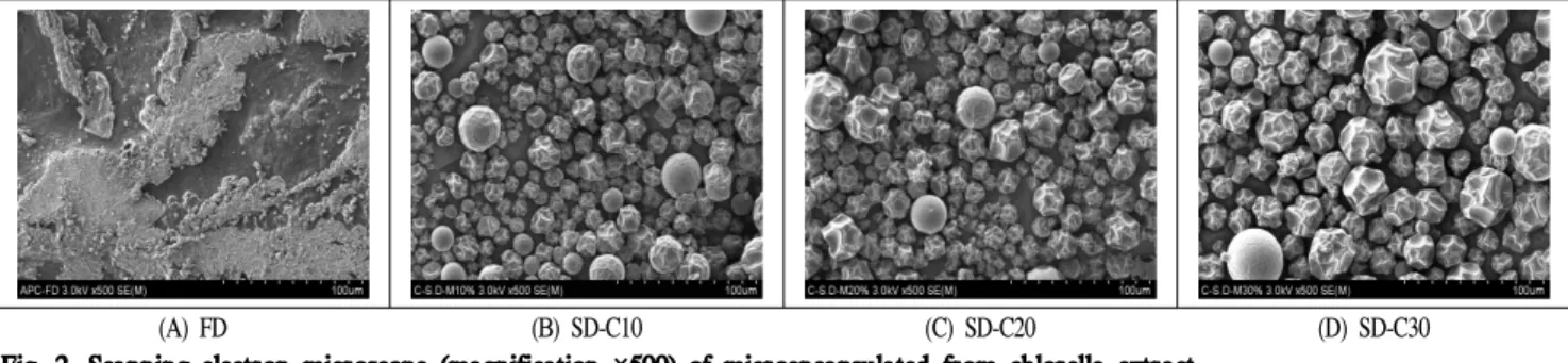 Fig. 3. Changes in total chlorophyll content of microencapsulated from chlorella extract during storage (40 days) at room temperature.