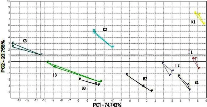 Fig. 2. Electronic nose data for flavor patterns of roasted coffee.