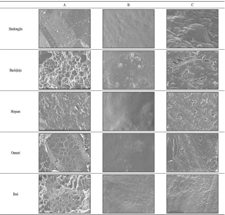 Fig. 1. Scanning electron micrographs (×1000) of cross-sectioned raw rice and frozen-stored cooked rices.