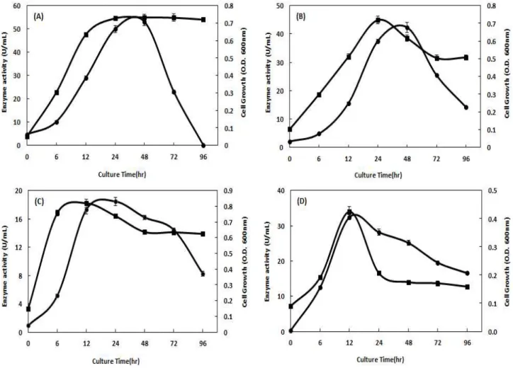 Fig. 2. Effect of carbon sources on the cell growth and amylase activity of the Isolated B