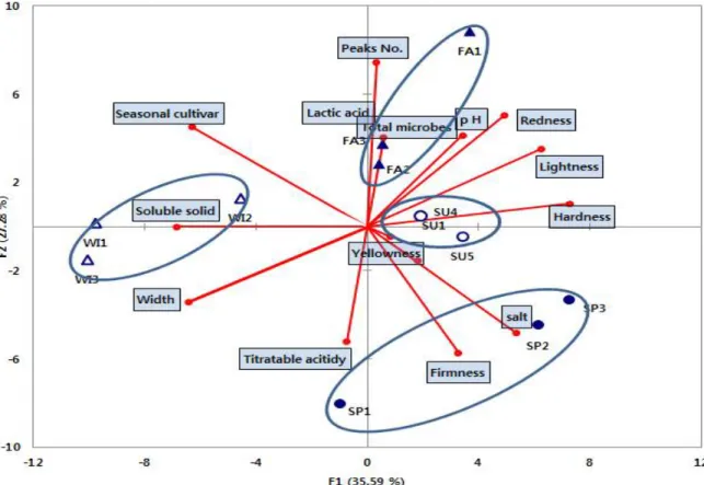 Fig. 1. Principal component analysis of quality characteristics of seasonal salted-Kimchi cabbage