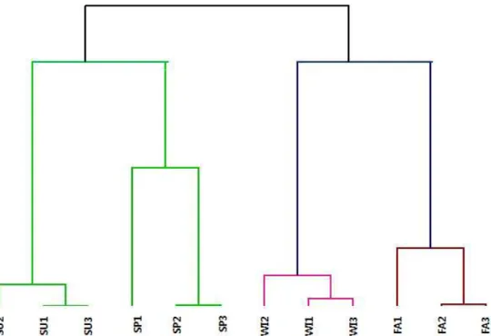 Fig. 2. Dendrogram of seasonal salted-Kimchi cabbage by agglomerative hierarchical clustering (AHC) based on quality characteristics of salted-Kimchi cabbage