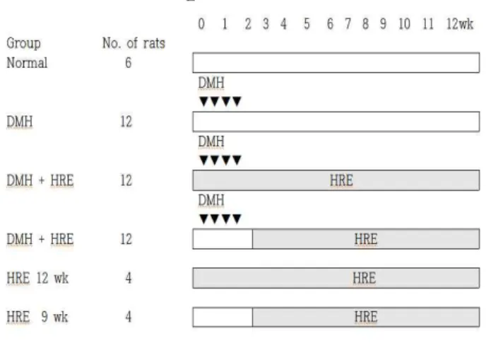 Figure 1. Experimental protocol for colon carcinogenesis in rats.
