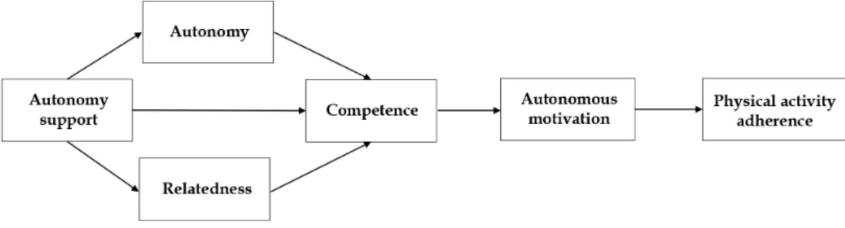 Figure 1. Conceptual framework for physical activity adherence among patients with coronary artery disease.건강관리 전문가의 자율성 지지, 자율성, 관계성 및 유능감 및 자율적 동기가 관상동맥질환자의 이차예방을 위한 신체활동 이행에 영향을 미치는 것으로 개념적 기틀을 설정하였다