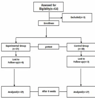 Fig. 1 Flow chart of the study participants.