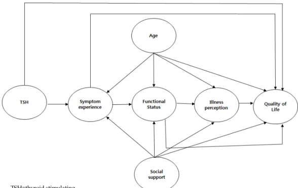Figure 1. Conceptual framework of this study.