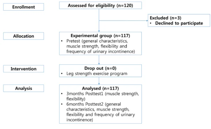 Figure 1. Flowchart of the study. 율을 고려하여  120명을 모집하였고, 3명은 6개월 동안 참석율 이  80% 미만으로 탈락하여 총 117명을 대상으로 하였다