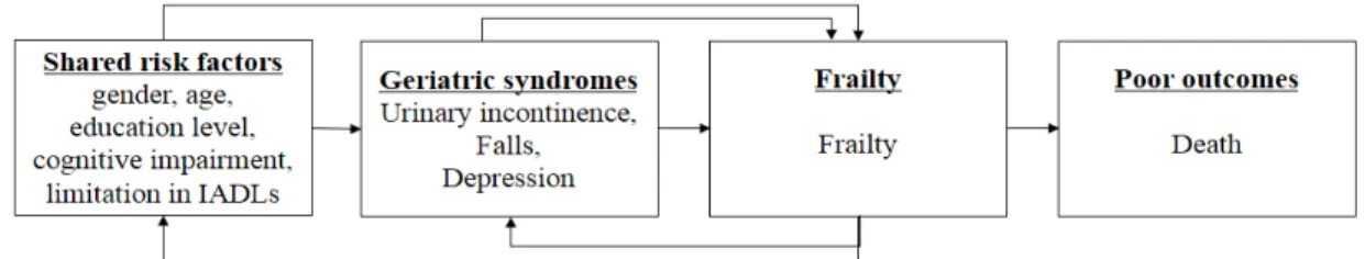 Figure 1. Conceptual framework of this study.