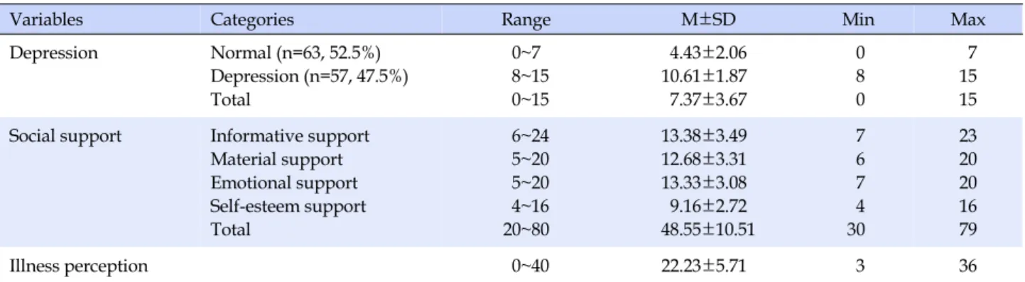 Table 3. Participants' Depression, Social Support, and Illness Perception (N=120)