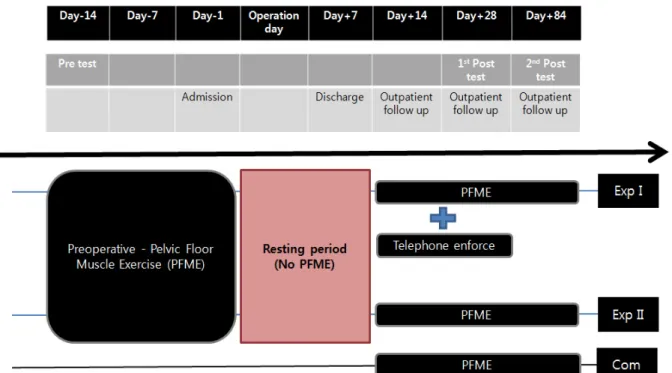 Figure 1. Design of the study.