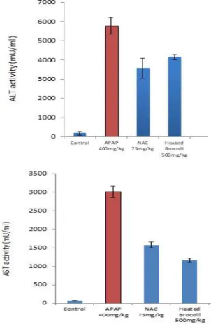 Figure 3. 8-Oxo-2’-dexoxyguanosine (8-OHdG) levels in the serum of mice. #indicates p < 0.05 as compared to the control group, *** indicates p < 0.001 compared to acetaminophen, and # indicates p < 0.01 as compared to the positive control, NAC.
