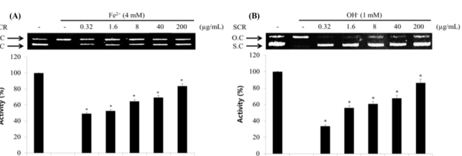 Fig. 4 Protective effects of Smilax china Root (SCR) on oxidative DNA damage by ϕX-174 RF I plasmid DNA