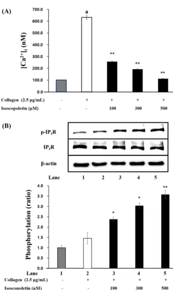 Fig. 3 Effects of isoscopoletin on [Ca 2+ ] i  mobilization and IP 3 R phosphorylation