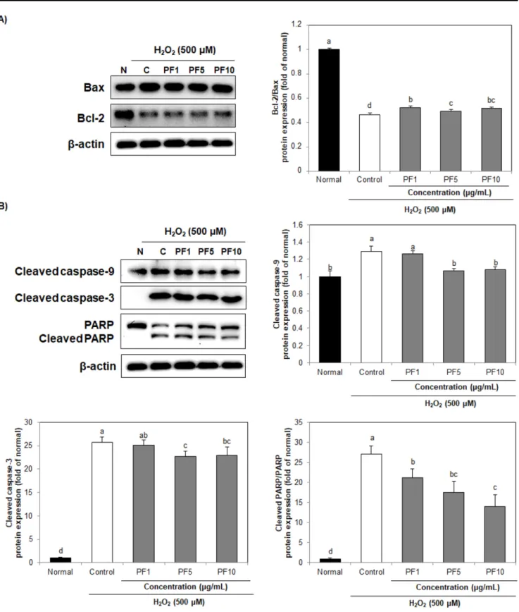 Fig. 5 Effect of PF on the levels of Bcl-2/Bax (A), cleaved caspase-9, -3 and cleaved PARP (B) protein expression in H 2 O 2 -induced C6 glial cells