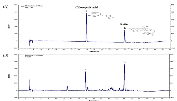 Table 1 Concentration of chlorogenic acid and rutin 1) Sampling period (Month) Extraction solvents Chlorogenic acid (mg/g) Rutin (mg/g) May Hot water 14.01±2.55 a2) 74.00±8.54 ad