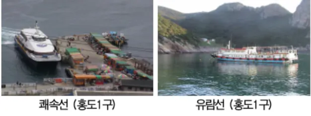 Fig. 22.  An  ocean  greyhound  and  an  excursion  ship  in  Hongdo  island.