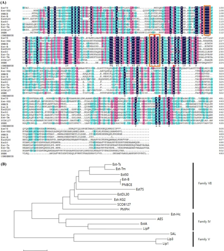 Fig. 2 Multiple alignment of the amino acid sequences (A), putative conserved domains (B), and phylogenetic tree of Est7S (C)