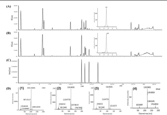 Table 2 Optimized MS/MS parameters of four malonyl ginsenosides