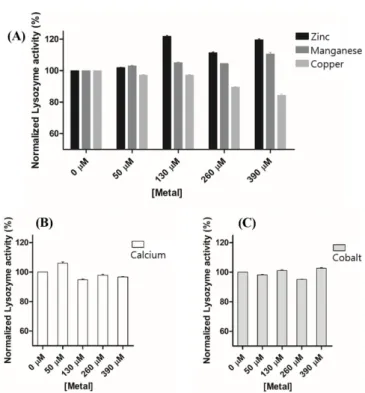 Fig. 3 SDS-PAGE of copper-treated lysozyme in the absence and presence of albumin. Lysozyme samples were subjected to 12% SDS-PAGE