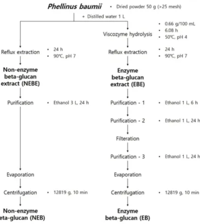 Fig. 1 Scheme of β-glucan extraction from Phellinus baumii.