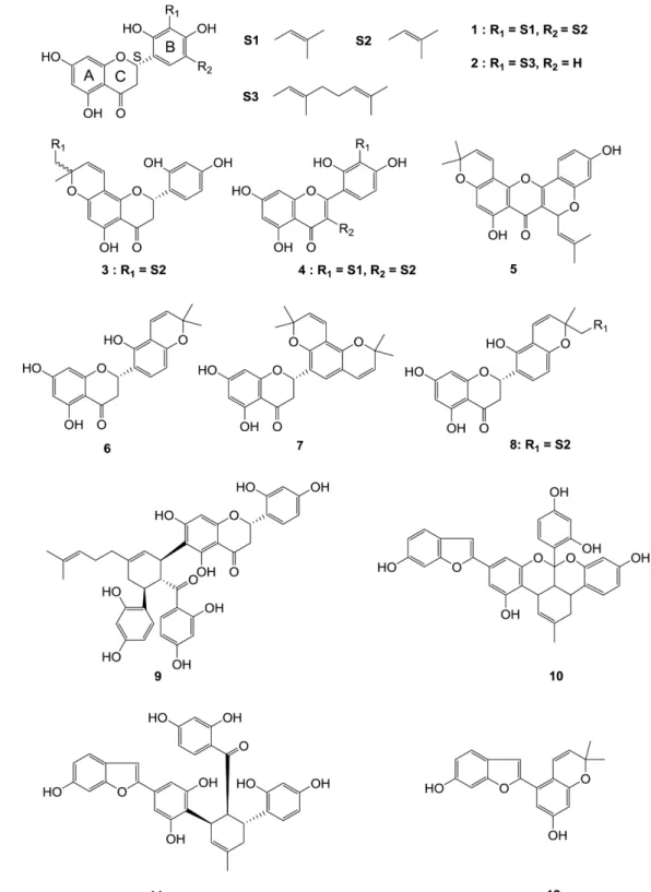 Fig. 1 Chemical structures of compounds 1-12 isolated from the root bark of Morus alba L.
