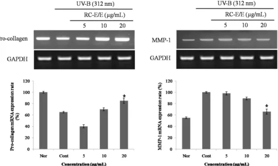 Fig. 5 Expression of MMP-1 and type I procollagen evaluated by mRNA level in CCD-986sk fibroblasts after EtOAc-fraction treatment