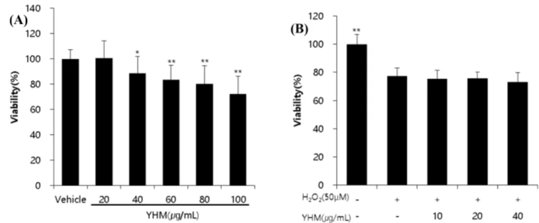 Fig. 3 Effect of YHM on testosterone level in hydrogen peroxide treated TM3 cell. The values are mean ± SD, n=3