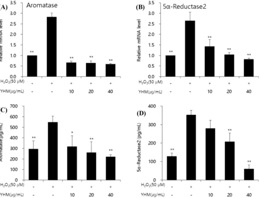 Fig. 5 Effect of YHM on expression of testosterone degradation genes and enzyme in hydrogen peroxide treated TM3 cell