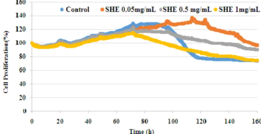 Fig. 3 Effect of SHE on differentiation of C 2 C 12  cell lines on consecutive days of SHE treatment