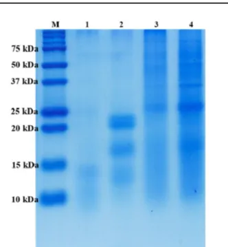 Table 1 Mechanical properties of the CFP films (5 g CFP, 2 g fructose) with different type of cross-linking agents