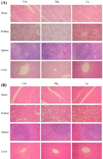 Fig. 1 Organ weight change in ICR mice during 14 days of repeated oral administration