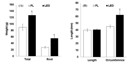 Table 2 Comparison of color of carrots grown under the fluorescent light (FL) or LED