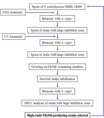 Table 1 Improved FK506 production by random mutations of S.