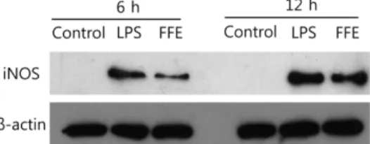 Fig. 2 Effects of FFE on the nitric oxide production of the RAW 264.7 cells. RAW 264.7 cells were treated with various concentrations (5, 10, 20 and 40 µg/mL) of FFE