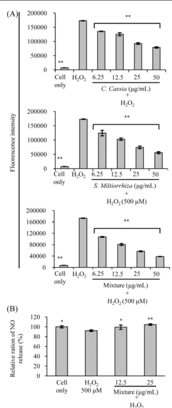 Fig. 4. Effect of C. cassia and S. miltiorrhiza extracts on eNOS protein expression. The expression of eNOS was confirmed by western blot with the extract of liver tissue
