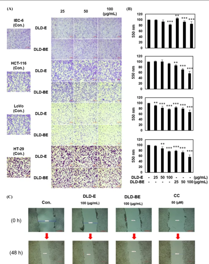 Fig. 1 Effect of non-bioconverted DLD extract (DLD-E) and bioconverted DLD extract (DLD-BE) on cell colony formation in colon cancer cells, compared to a normal intestinal cell line