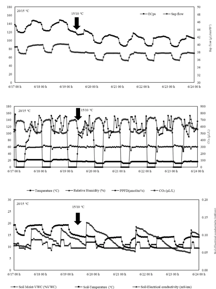 Fig. 2 Electrical conductivity in plant stem (ECps), sap flow rate, relative humidity, temperature, PPFD (photosynthetic photon flux density), CO 2 , soil water content and temperature, and soil electrical conductivity monitoring for low-temperature treatm