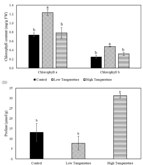 Fig. 3 Chlorophyll a and b contents (A) and proline concentrations (B) of Brassica oleracea var