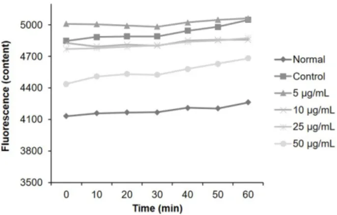 Fig. 2 Time course of change in intensity of ROS fluorescence with Carthamus tinctorius L