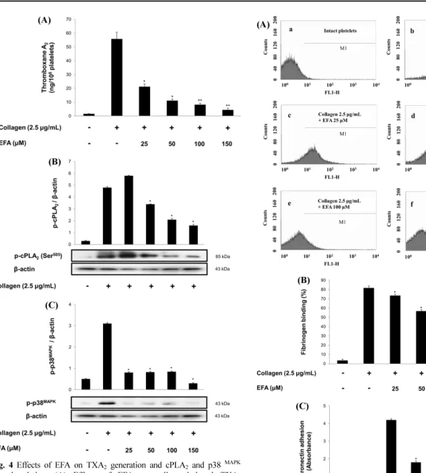 Fig. 4 Effects of EFA on TXA 2  generation and cPLA 2  and p38  MAPK phosphorylation. (A) Effects of EFA on collagen-induced TXA 2 generation
