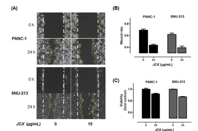 Fig. 2 Effects of various concentrations of JCX on migration of human pancreatic cancer cells