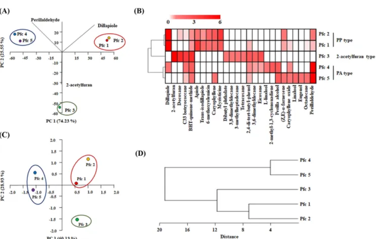 Table 2 Principal component coefficients of selected essential oil compounds from five genotype of Perilla frutescens var