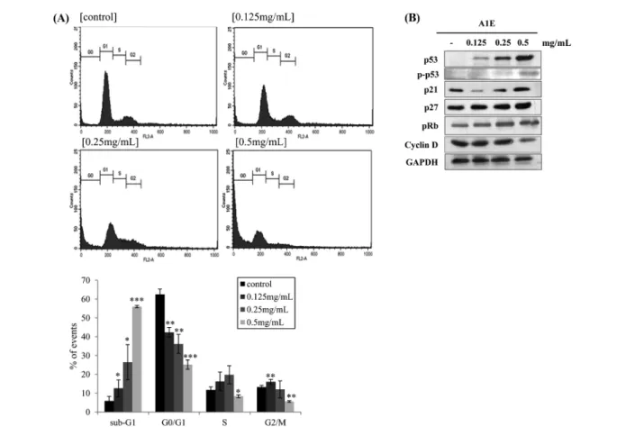 Fig. 2 Effects of A1E on cell cycle and expression of p53 and Rb. (A) Effect of A1E on cell cycle