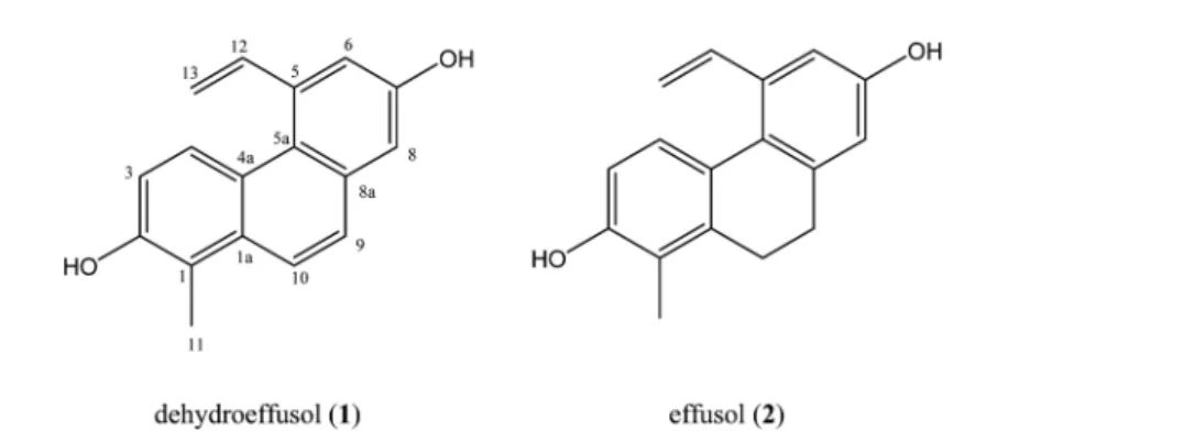 Table 1 Antioxidant activities of compounds isolated from Juncus effusus Samples DPPH IC 50 1)  value µM ABTS  IC 50 1)  value µM