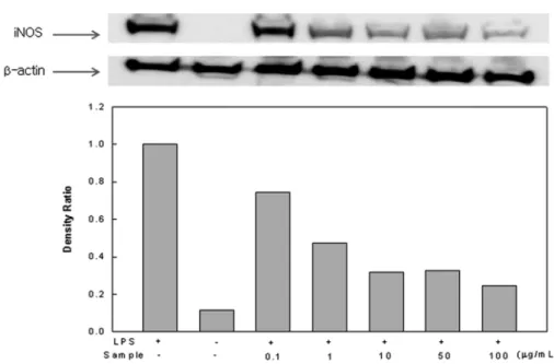 Fig. 7 Effect of Sargassum micracanthum water extract on LPS-induced COX-2 expression in RAW 246.7 cells