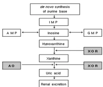Table 2 Mixing effects of FSCL 1)  and SCLR 2)  extracts on the sensory quality